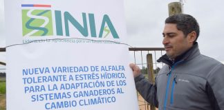 Nuevos germoplasmas resistentes a sequía serán un tremendo logro para el secano de Chile