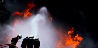 Radiografía al incendio en Quillón: 1.300 hectáreas de vegetación arbórea fueron potencialmente afectadas