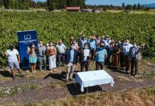 Región de Ñuble: Productores de uva y vino de la Zona de Rezago reciben apoyo del Gobierno Regional para producción limpia