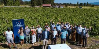 Región de Ñuble: Productores de uva y vino de la Zona de Rezago reciben apoyo del Gobierno Regional para producción limpia