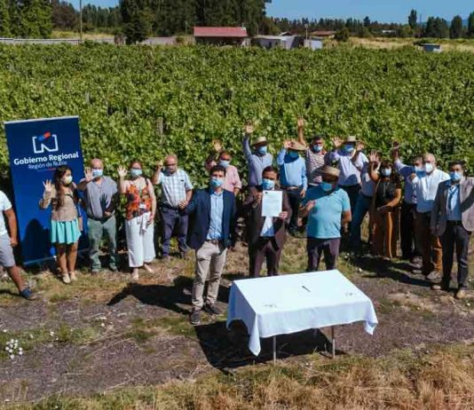 Región de Ñuble: Productores de uva y vino de la Zona de Rezago reciben apoyo del Gobierno Regional para producción limpia