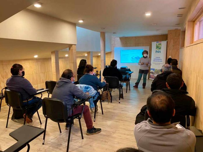 Resaltan labor de los asesores técnicos de Chiloé en la producción agroalimentaria