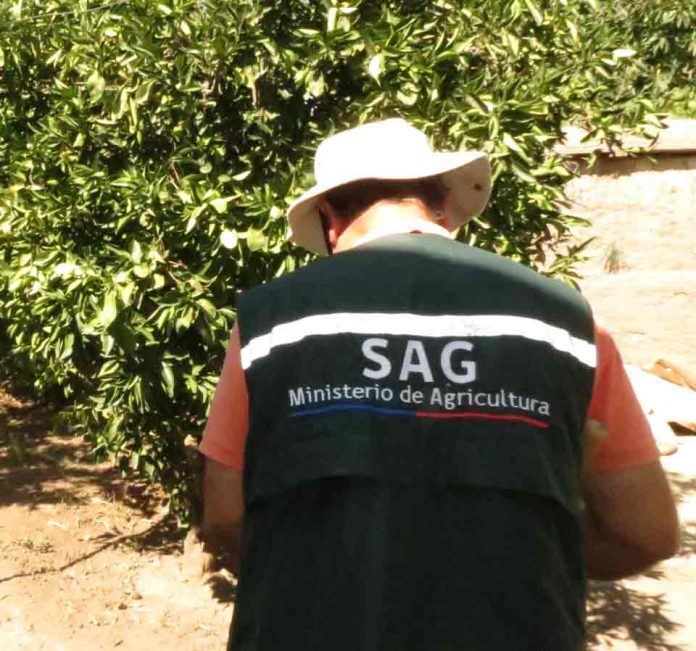 Servicio Agrícola y Ganadero pone cinco nuevos trámites digitales a disposición de los usuarios/as