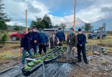 Avances en diversificación productiva y alcance territorial