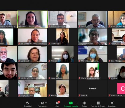 Expertos de Agronomía UdeC participan en la realización de taller para diagnosticar estado de laboratorios de suelos de Chile