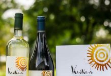 Expertos del mundo vitivinícola nacional se reúnen para conocer Keóken, el vino más austral del mundo