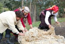 FIA y Usach abren nuevo diplomado para que educadores se formen en cooperativismo agrícola