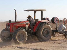 Ganaderos del Tamarugal instalan innovador sistema de riego tecnificado   