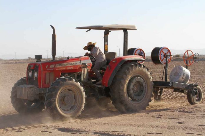 Ganaderos del Tamarugal instalan innovador sistema de riego tecnificado   