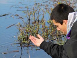 Humedales urbanos y el desafío de su conservación