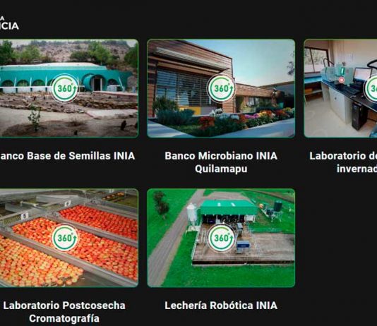 INIA lanza museo digital que muestra la historia de la agrociencia en Chile