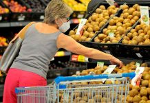 Kiwis chinos hacen su debut en el mercado chileno 