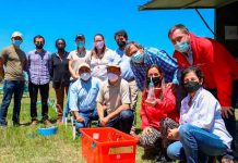 Ministra de Agricultura visita proyectos de investigación que buscan mejorar la sustentabilidad de la producción lechera