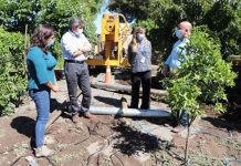 Nancy Flores, usuaria INDAP: De temporera a agricultora sustentable y exitosa