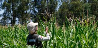 Participa de la consulta pública sobre la regulación de fertilizantes y bioestimulantes