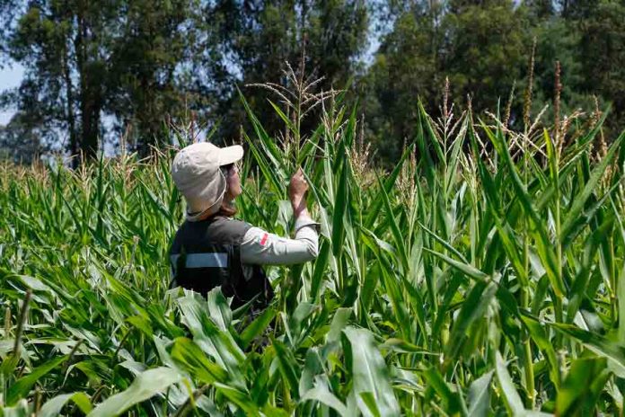 Participa de la consulta pública sobre la regulación de fertilizantes y bioestimulantes