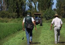 SAG Biobío recuerda a agricultores/as postular a concursos de Operación Temprana 2022 del SIRSDs