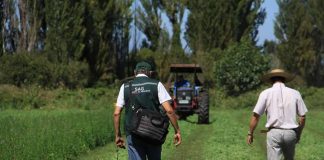 SAG Biobío recuerda a agricultores/as postular a concursos de Operación Temprana 2022 del SIRSDs