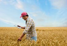 Cambio Climático en América Latina: el desafío de la agricultura sustentable y eficiente