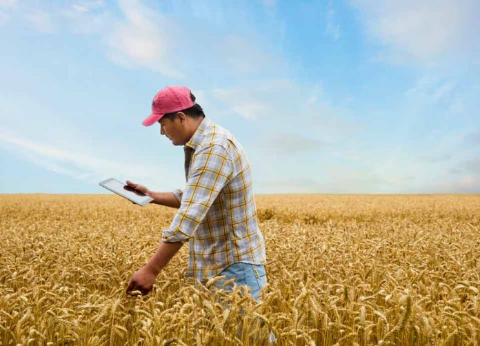 Cambio Climático en América Latina: el desafío de la agricultura sustentable y eficiente