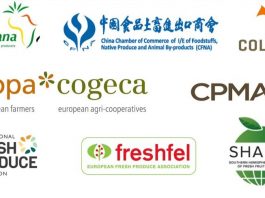 Coalición Global de Asociaciones de Comercio de Frutas y Verduras Frescas