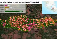 Incendio forestal en Timaukel: imagen de sensor satelital muestra la magnitud del desastre en la zona