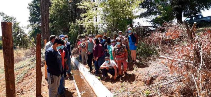 Por primera vez agricultores de Capilla Norte podrán regar en verano gracias a proyecto asociativo INDAP