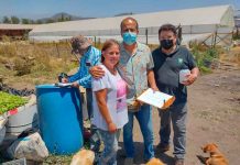 Servicios de análisis de suelo, agua y fitopatología para la agricultura familiar campesina, ya están disponibles gracias a convenios entre INIA La Platina y municipios de María Pinto, Lampa y Buin.