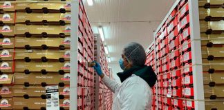 certificación de cerezas