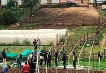 Agronomía UdeC lidera proyecto de Vitivinicultura en La Araucanía