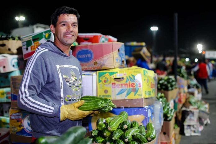 Asociatividad y comercialización: INDAP consolida red de mercados campesinos y amplía oportunidades de ventas en periodo 2018-2022