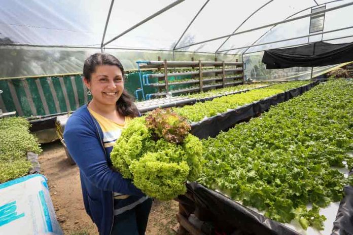 Cambio climático: presupuesto histórico de $44 mil millones para riego tiene INDAP este 2022