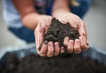 Cómo adaptarse a la salinidad en una fruticultura sustentable