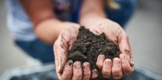 Cómo adaptarse a la salinidad en una fruticultura sustentable