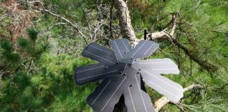 Conoce la iniciativa de Huawei que protege 3.000 hectáreas en la cordillera de Nahuelbuta