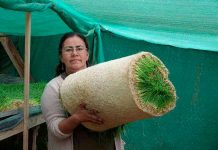 Granja La Pachamama en La Ligua: hermosa familia enfrenta la sequía con centro de agroecología y economía