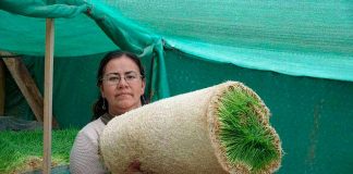 Granja La Pachamama en La Ligua: hermosa familia enfrenta la sequía con centro de agroecología y economía