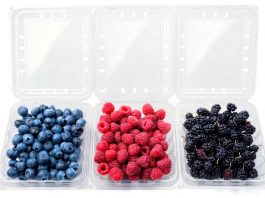 Industria frutícola y desafío ambiental: Priorizar y potenciar la fabricación de plásticos 100% reciclables