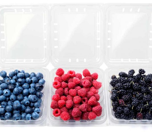 Industria frutícola y desafío ambiental: Priorizar y potenciar la fabricación de plásticos 100% reciclables