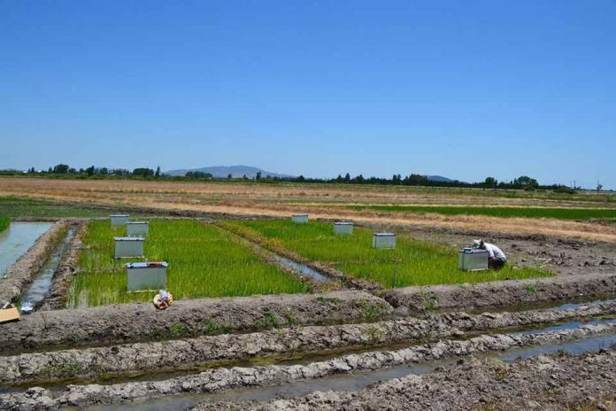 Investigadores de INIA integraron comitiva de científicos que elaboró propuestas para medir la sustentabilidad en la actividad silvoagroalimentaria