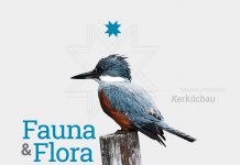 Lanzan libro gratuito dedicado a la flora y fauna en la cultura mapuche