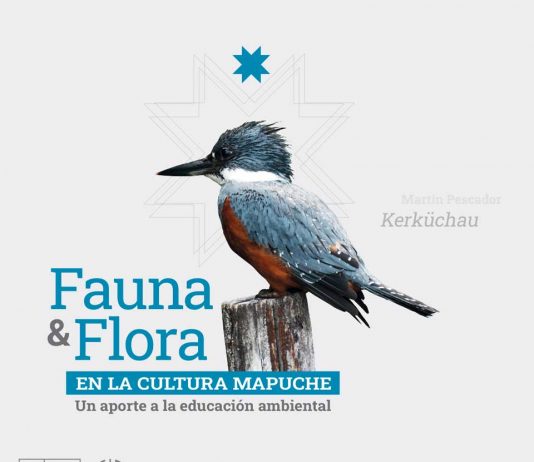 Lanzan libro gratuito dedicado a la flora y fauna en la cultura mapuche