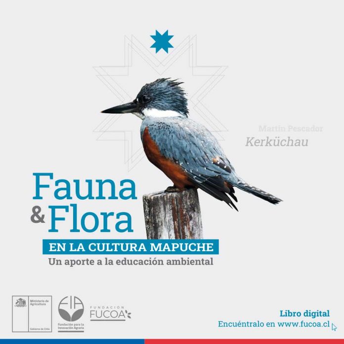 Lanzan libro gratuito dedicado a la flora y fauna en la cultura mapuche
