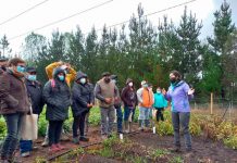 Más de 100 personas participaron en los días de campo de producción de hortalizas y cultivos con manejo agroecológico en la región de Los Ríos