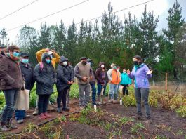 Más de 100 personas participaron en los días de campo de producción de hortalizas y cultivos con manejo agroecológico en la región de Los Ríos