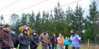 Más de 100 personas participaron en los días de campo de producción de hortalizas y cultivos con manejo agroecológico en la región de Los Ríos
