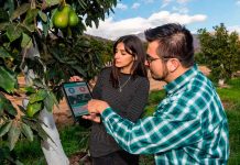 Mes del agua: Desafíos de la crisis hídrica aumentan aplicación de herramientas tecnológicas en la industria agrícola