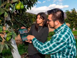 Mes del agua: Desafíos de la crisis hídrica aumentan aplicación de herramientas tecnológicas en la industria agrícola