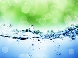 Nanoburbujas de oxígeno, la solución para una agricultura más Sustentable