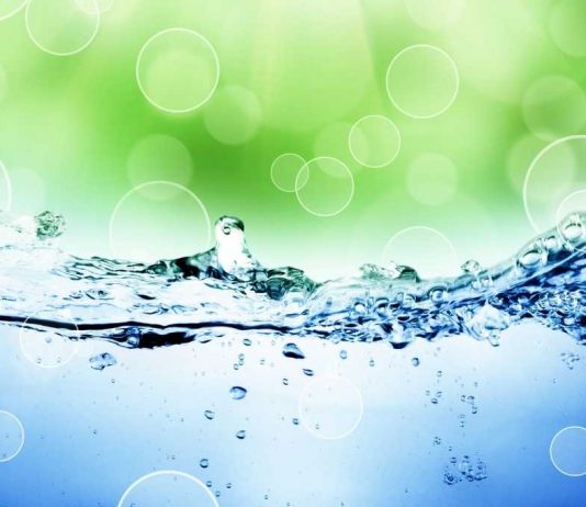 Nanoburbujas de oxígeno, la solución para una agricultura más Sustentable y Eficiente en el uso de agua y fertilizantes Nanoburbujas de oxígeno, la solución para una agricultura más Sustentable